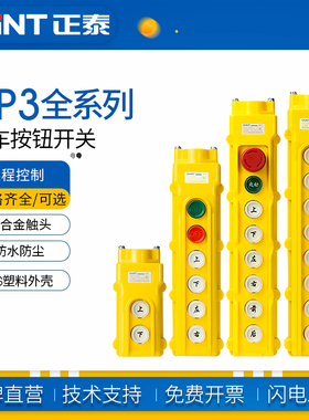 正泰NP3-1 2 3A行车按钮开关起重机启动停止上下左右电动远程控制