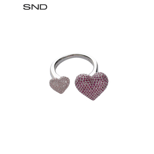 POUBELSNDSS26