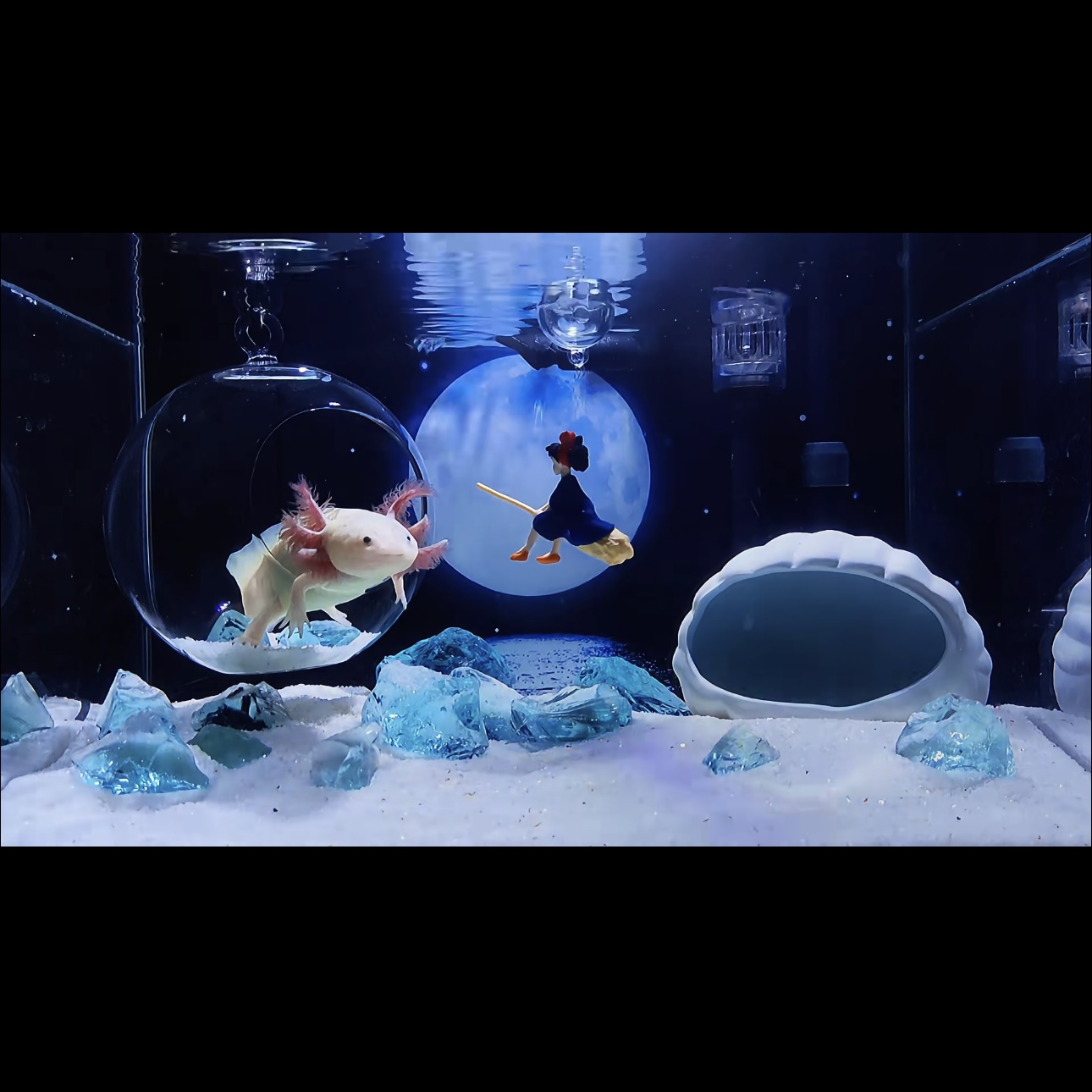 贝壳陶瓷躲避屋鱼缸造景装饰水族箱鱼虾繁殖窝陶罐躲避洞全套布景