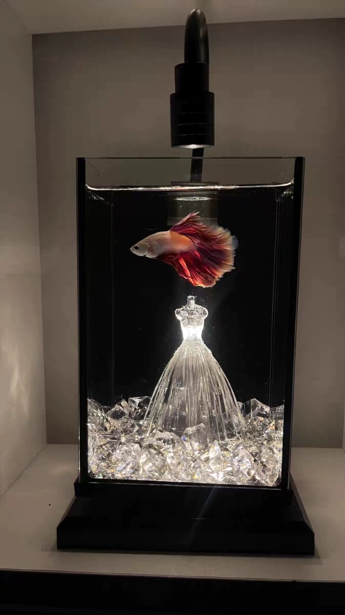 鱼缸造景套餐斗鱼缸彩钻 大婚纱 水族箱免换水超白鱼缸
