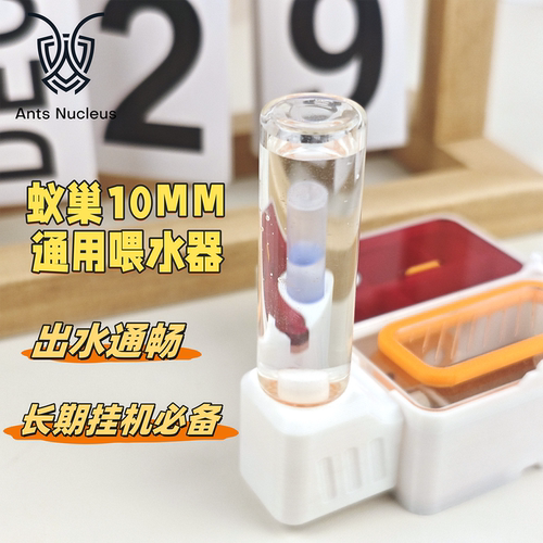 蚁巢喂水器垃圾区喂食喝水