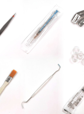 蚁核养蚁工具通用脱脂棉镊子双头钩拓展塞刷子注射器喂食盘拓展塞