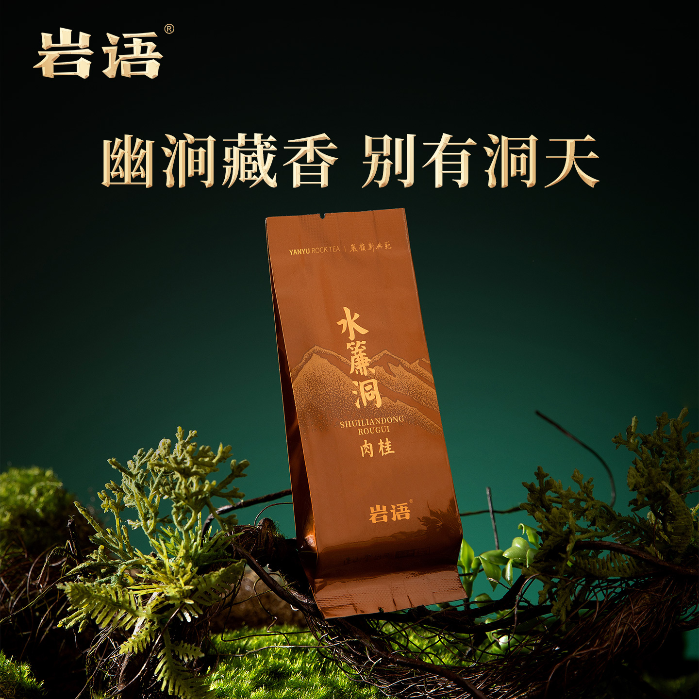 水帘洞正岩肉桂茶叶特级武夷岩茶