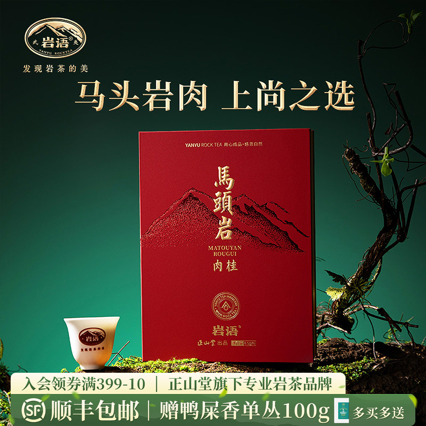 正山堂岩语鉴山马头岩肉桂茶叶礼盒装武夷山特级正岩茶叶送礼51g