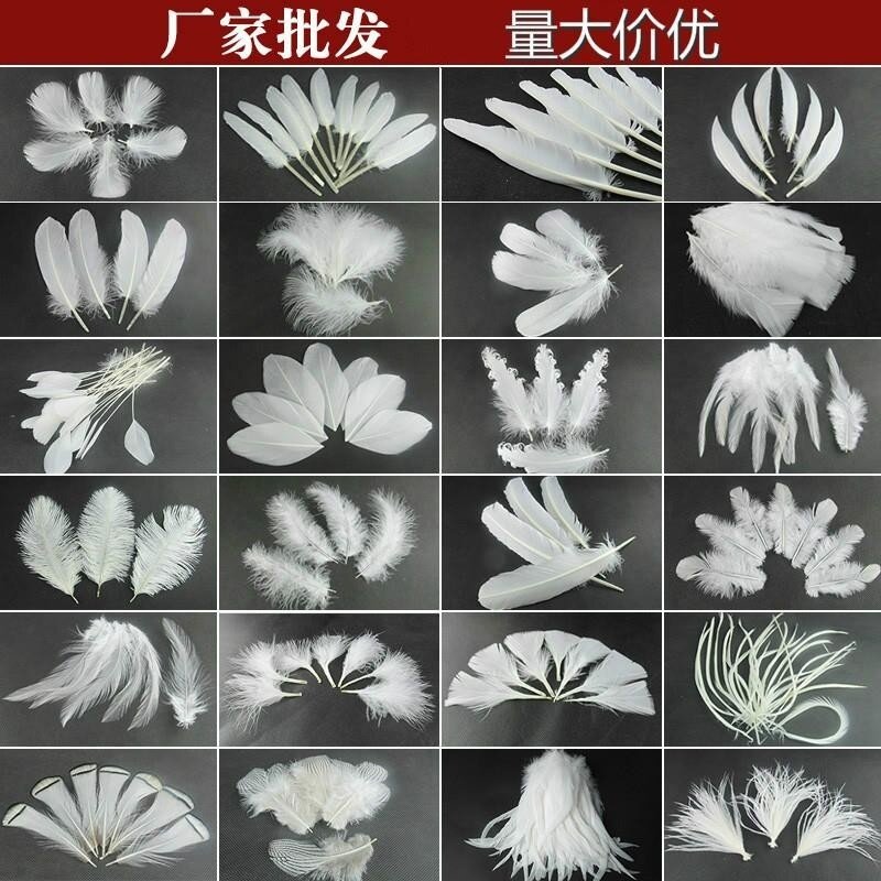 白色羽毛装饰材料摆件假花翅膀拖尾心形柳条枝条中飘布带背景布景