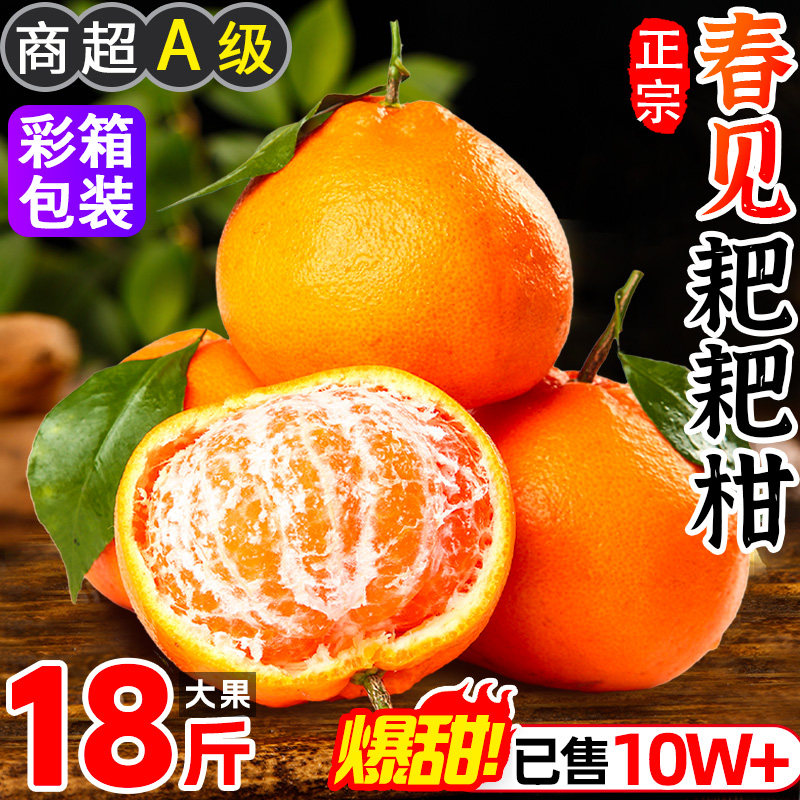 正宗四川春见耙耙柑粑粑柑丑桔橘当季杷杷柑现摘新鲜水果整箱橘子
