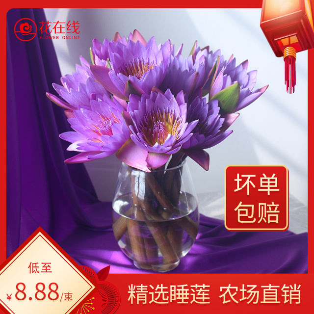 睡莲鲜花花束价格 睡莲鲜花花束图片 星期三