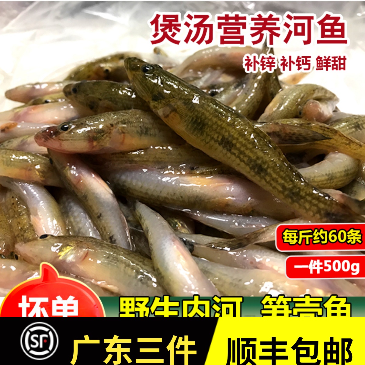 鲜活笋壳鱼狗母鱼煲汤食材林哥鱼