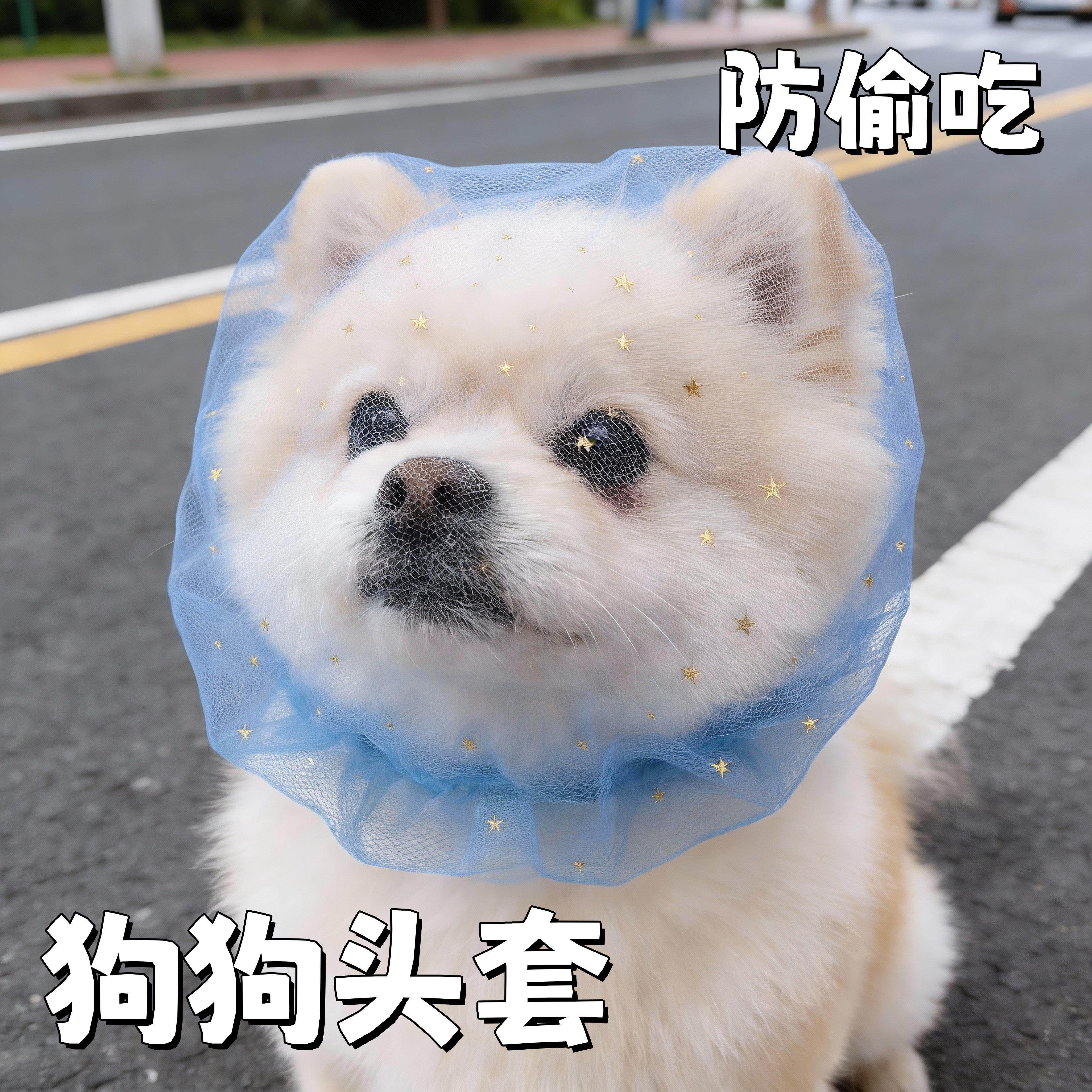 狗狗嘴套外出防误食头纱舒适透气中小型犬博美比熊宠物狗防舔网套