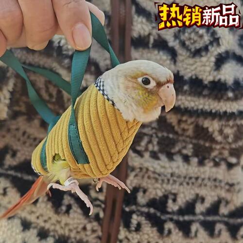 小鸟遛弯包！鹦鹉手把袋户外便携小鸟外出包可手提防飞鸟类外带包
