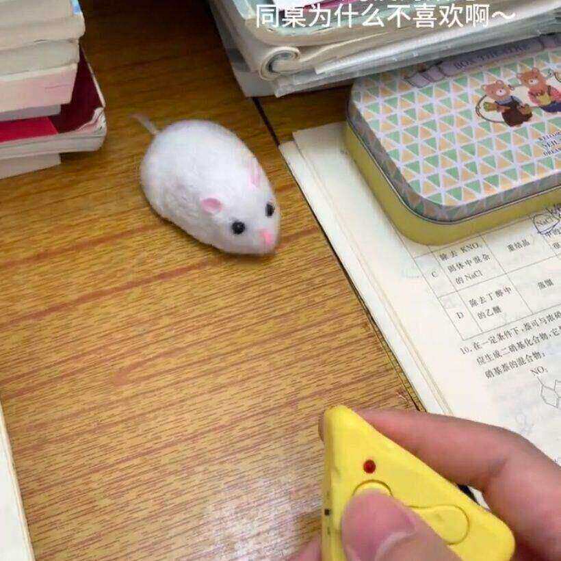 仿真老鼠电动玩具遥控动物逗猫创意恶作剧整蛊道具小仓鼠解压神器
