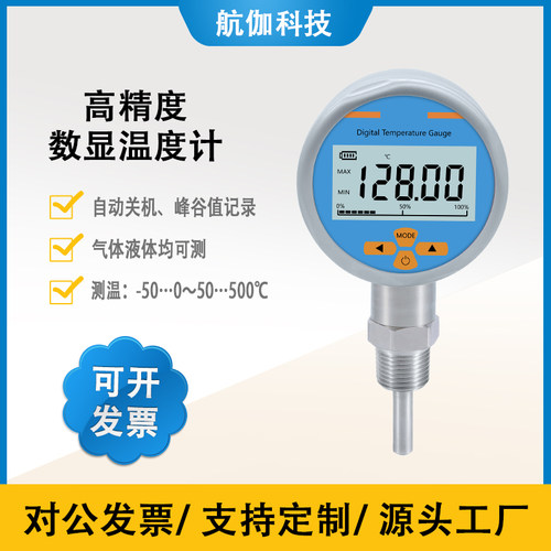 就地温度显示仪探头PT100热电阻