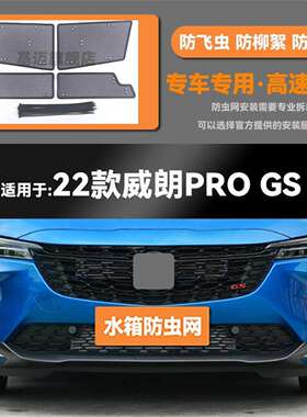 20 21 22 23款别克威朗 PRO/GS水箱防虫网防鼠蚊虫柳絮中网保护罩