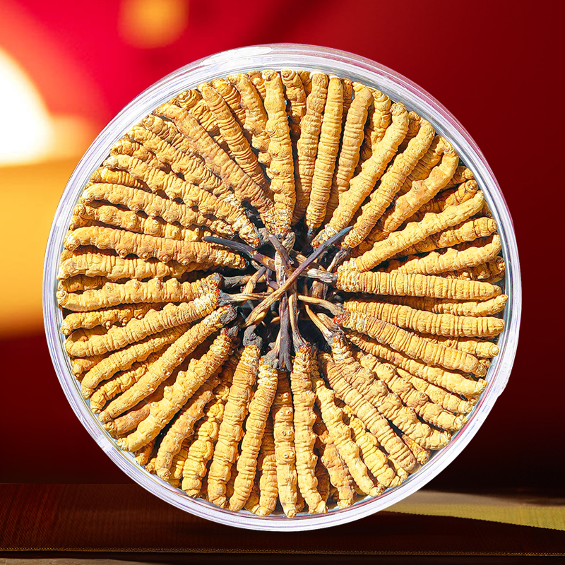 那曲冬虫夏草头期高海拔礼盒装