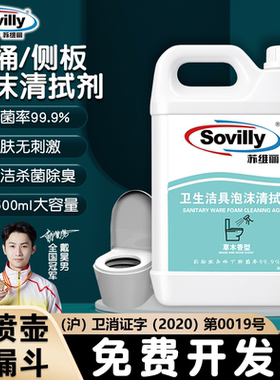 2.5L马桶坐垫泡沫清拭剂喷雾杀菌坐便圈盖浴室厕所卫生间杀菌消毒