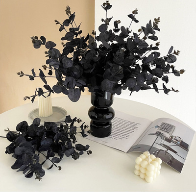 Halloween simulation leaves single 4-pronged eucalyptus leaf