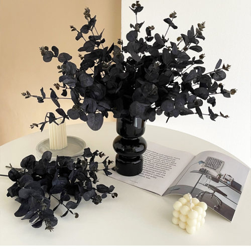 Halloween simulation leaves single 4-pronged eucalyptus leaf