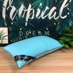 Pillow Healthy pillows feather velvet hotel pillow for bed