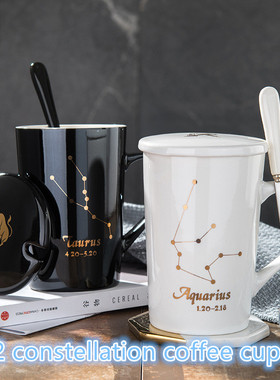 Mug water cup coffee cup twelve constellations
