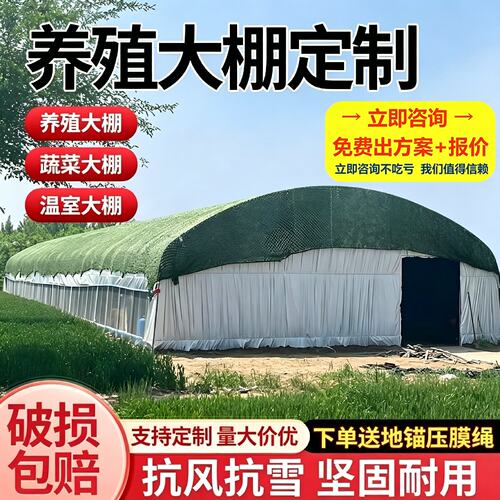 全套热镀锌大棚钢管鸡鸭牛羊养殖大棚定制支架抗风保温坚固耐用