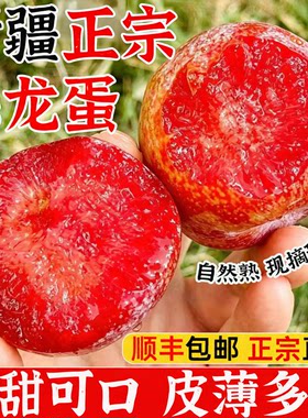 新疆恐龙蛋李子现摘味帝顺丰包邮