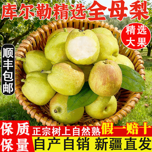 新疆库尔勒香梨脆甜无渣产地发