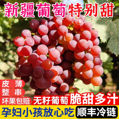 新疆玻璃脆葡萄无籽纯甜嘎嘣脆
