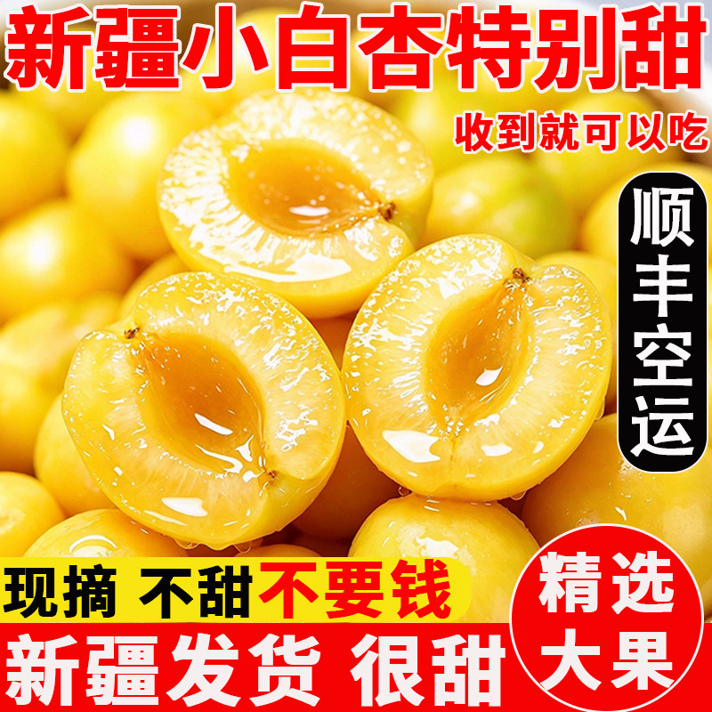 新疆小白杏子新鲜应季孕妇水果当季现摘轮台甜杏子4斤顺丰包邮
