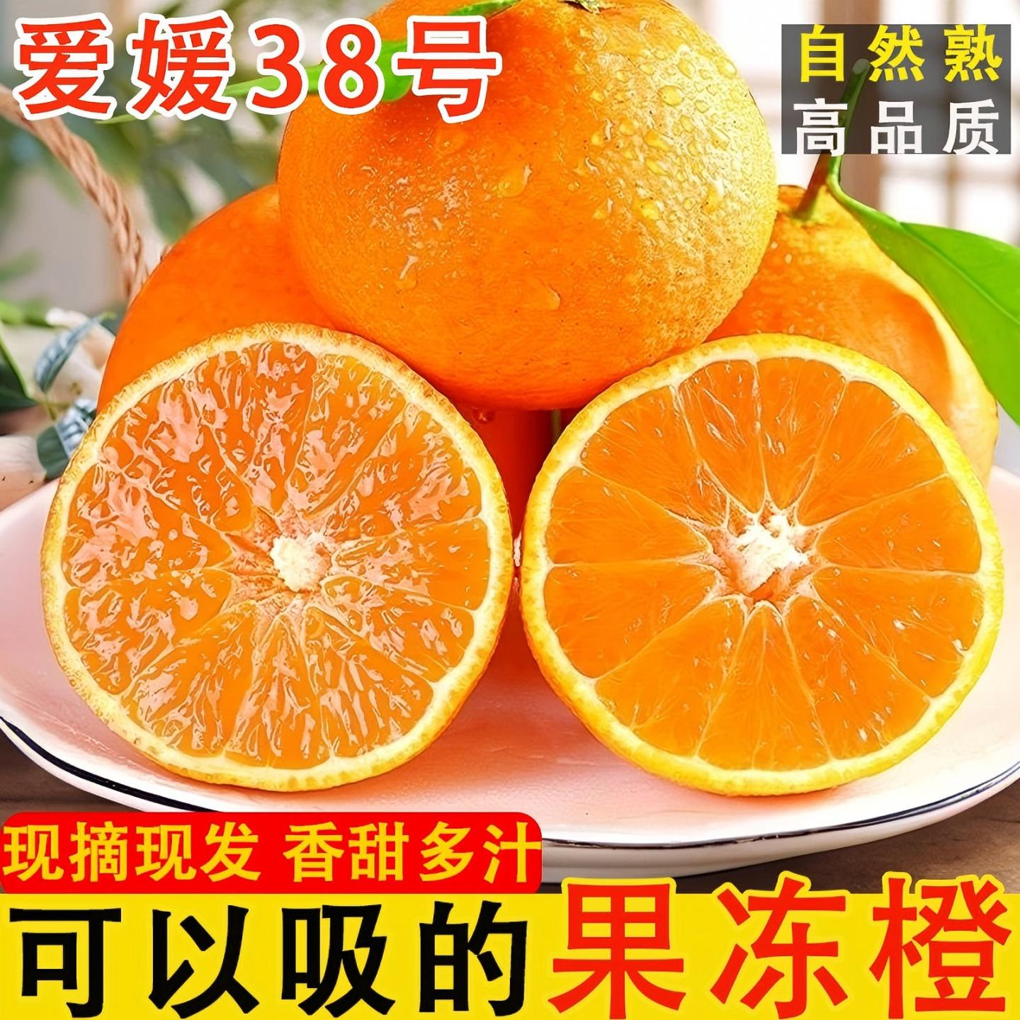 爱媛38号果冻橙手剥脐橙新鲜水果