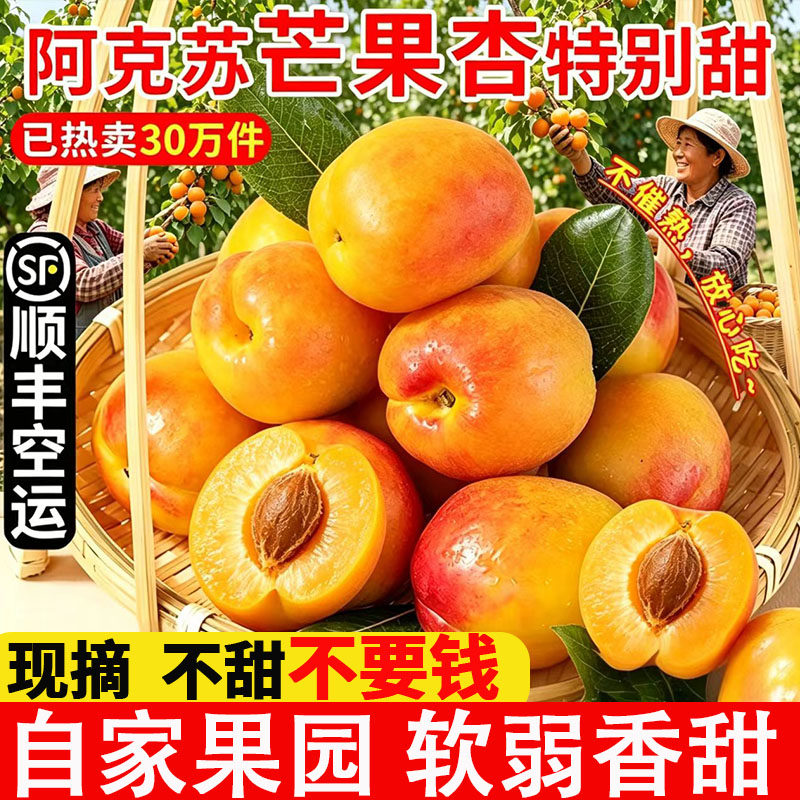 新疆芒果杏吊干杏子新鲜水果阿克苏特产甜蜜油杏小白杏顺丰包邮