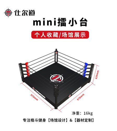 仕尔道擂台赛mini擂小台散打格斗