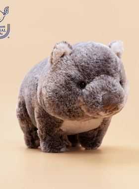 日本sunlemon毛绒玩偶仿真袋熊动物公仔儿童安抚玩具生日礼物娃娃