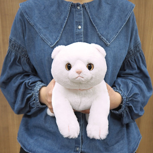 sunlemon苏格兰折耳猫毛绒玩偶可爱猫咪公仔儿童玩具礼物生日娃娃