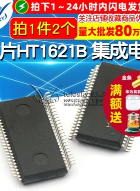 【TELESKY】 芯片HT1621B 集成电路SSOP-48 IC (2个)