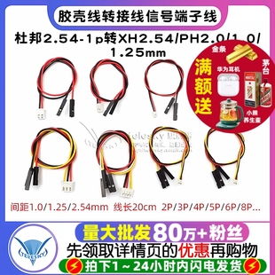 1.25mm胶壳端子线2P 杜邦2.54 1.0 PH2.0 6P转接线 1p转XH2.54