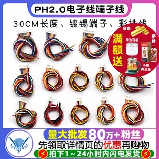 12P PH2.0电子线端子线单头镀锡彩排线端子连接线长30CM2位3