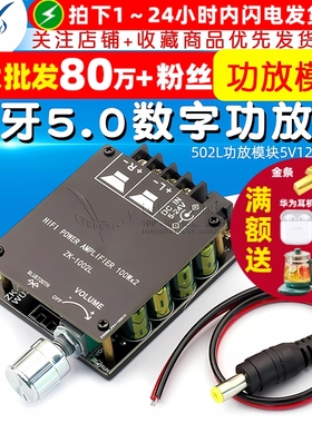 20W30W 50WX2蓝牙5.0数字功放板调节音量 502L功放模块5V12V24V