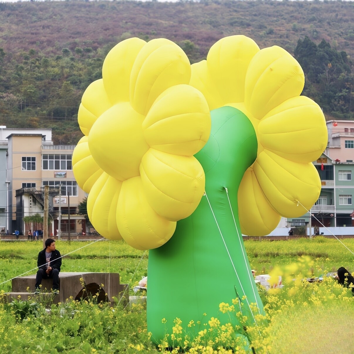 网红充气油菜花樱花桂模图片