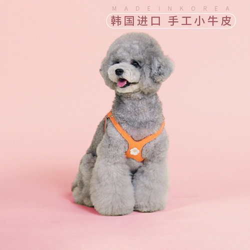 牵引绳胸背夏季可爱狗泰迪调节