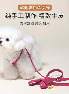 狗狗牵引绳背心式遛狗溜小型犬幼犬狗背带防挣脱链子胸背宠物绳子