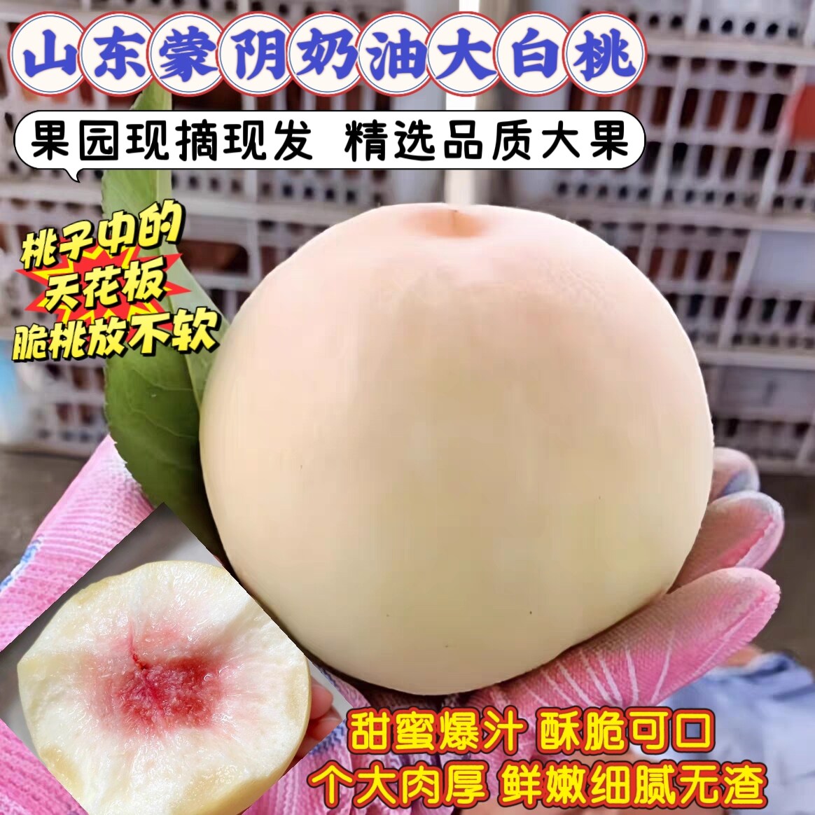 正宗山东蒙阴奶油大白桃大果现摘现发白玉脆甜当季新鲜水果原产地