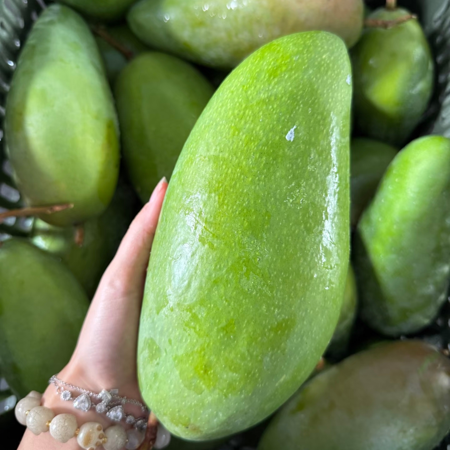 正宗越南大青芒果新鲜进口青皮金煌芒生吃脆甜一级特大果酸野整箱