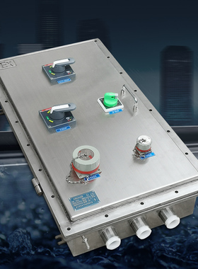 不锈钢防爆配电箱防爆箱检修箱控制箱仪表按钮接线插座端子箱特惠