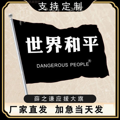 薛之谦世界和平应援大旗定制旗帜户外演唱会大旗音乐节大旗音乐节