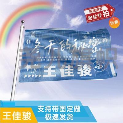王佳骏应援大旗应援旗定制旗帜户外演唱会大旗音乐节大旗明星旗帜