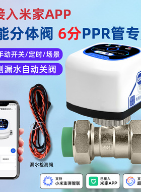 已接入米家智能PPR双活接球阀6分dn25水管管件热熔前置改造总阀门