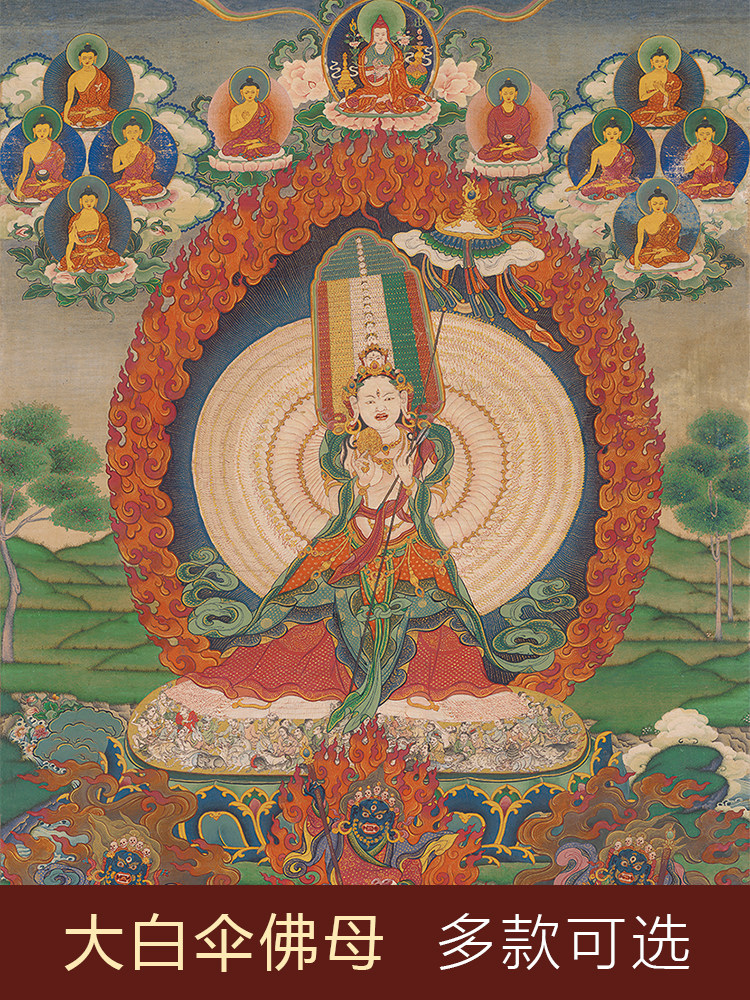 大白伞佛母唐卡挂画客厅西藏手工装裱室内玄关装饰佛像唐卡