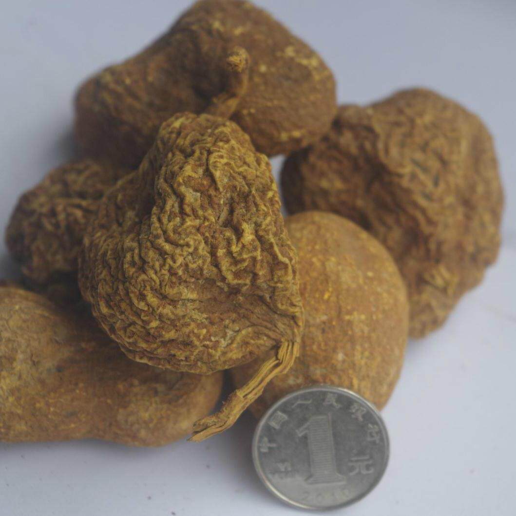 金果榄 地苦胆 九牛胆 九莲子野生九龙胆100g至500g克包邮