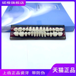 牙科材料瓷牙 上海合金钉瓷牙 合成树脂牙 合金钉瓷牙 全口义齿