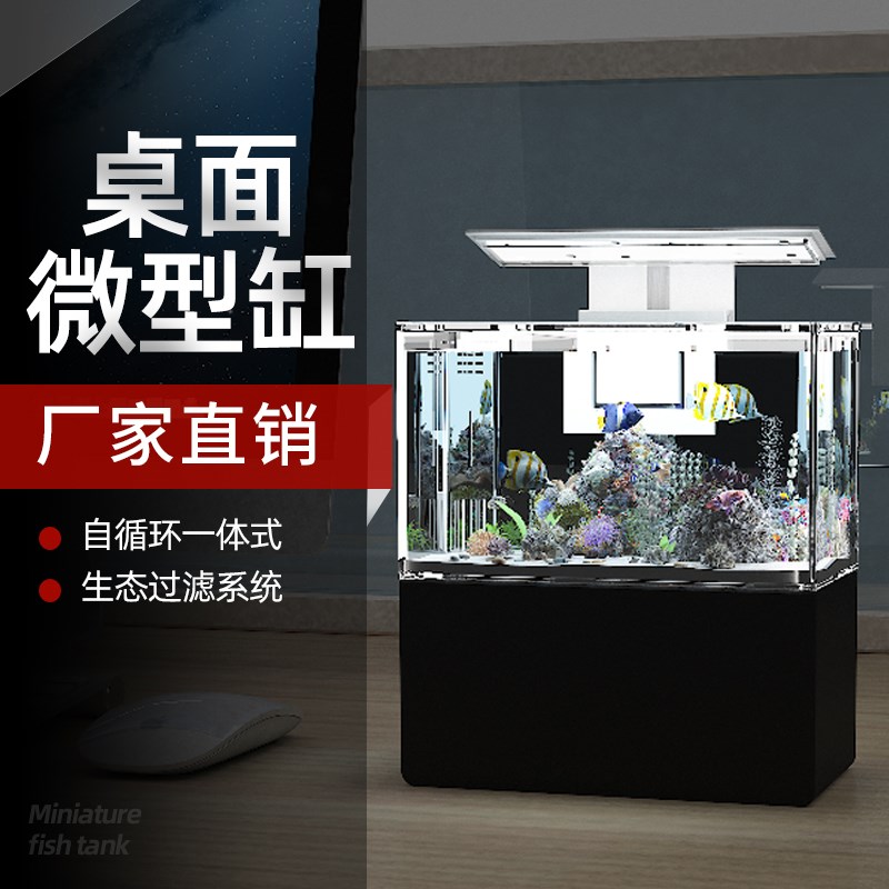 自循环小鱼缸造景客厅小型桌面创意迷你办公室斗鱼微景观生态鱼缸